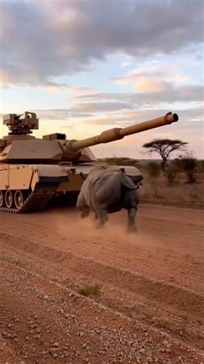 Rhino vs Tank… You Won’t Believe What Happens 🦏💥 🦏