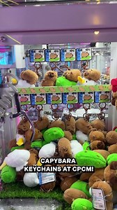 MORE capybara-themed keychains at CPCM?! 🤩 If you love capybaras, you won't want to miss out on these adorable capybara keychains from our claw machine from just 3 medals per try! They're super tiny and plushy too! 😚 | Cow Play Cow Moo