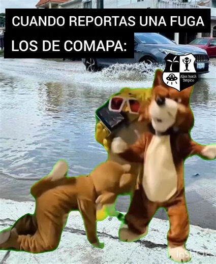 14K views · 361 reactions | Alien beach Tampico on Reels | Facebook