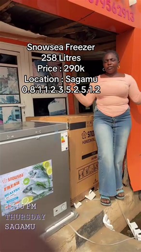 How to Defrost Your Snowsea Freezer Efficiently