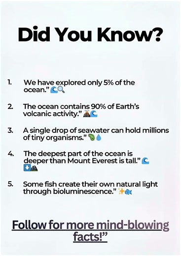 5 Mind Blowing Ocean Facts You Never Knew