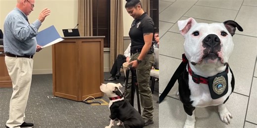 Shelter dog sworn in as ‘paw-trol officer’ with police department