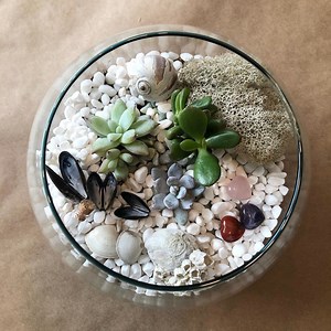 Virtual Team Building Terrarium Kit   Instruction - Etsy Canada