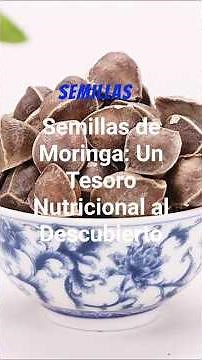 🌿 MORINGA SEEDS: Benefits, Uses, Dosage