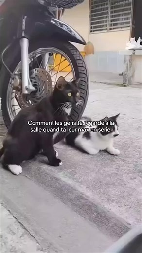 #gym #humour #musculation