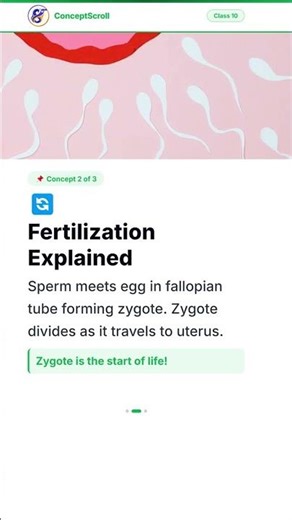 🧬 Reproductive System Basics | Class 10 Biology #Shorts