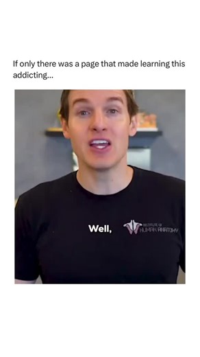 DiscoverNewFacts on Instagram: "Follow @discovernewfacts for more! 💡 Credit: Instituteofhumananatomy"