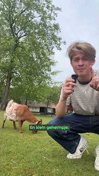Kun je een dierenvriend zijn als je vlees eet? | DVL