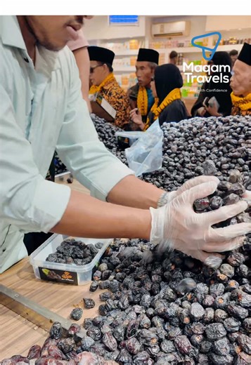 Exploring the Dates Garden in Madinah