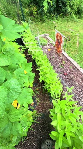 Spring Garden Awakening