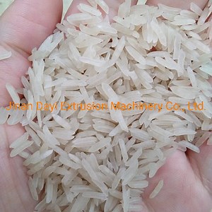 [Hot Item] Broken Rice Reused Rice Fortification Machine/ Nutritional Vitamin Rice Production Process Equipment