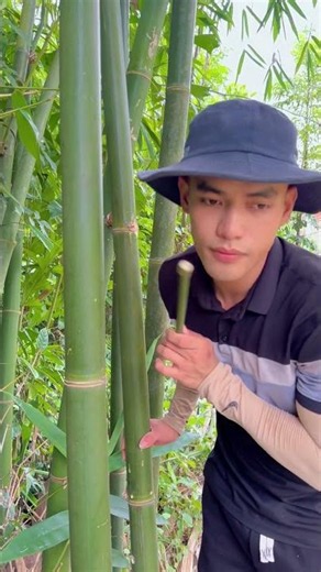 Survival Skills: How to Get Water from a BAMBOO Tree 💧💧#bamboo #survival #outdoor