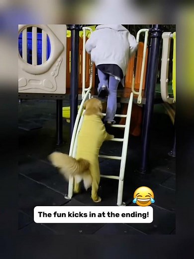 Epic Dog Fails Compilation😂🐾 #epicfails #dogshorts#FunnyDogs#dogfails