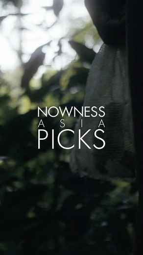 Broken Wings is now featured on @nownessasia ‘s Picks. Our documentary-music film captures the heartbreaking journey tropical birds make from forest to cage. Have you seen Broken Wings? You can watch the full film on @waterbearnetwork. 🎥 Film created by @waterbearnetwork @studiobirthplace 🎹Original music by @ludovico_einaudi 🌍 Impact Partner @thriveconservation Campaign 📸Adviser & Photographer @paulhiltonphoto | Studio Birthplace