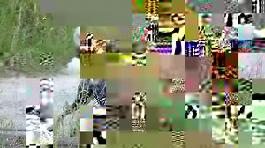 17K views · 704 reactions | Painted wolves, hunting dogs, African...