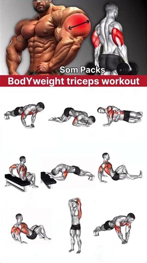 body weight tricep workout #bodybuilding #exercise #tranding