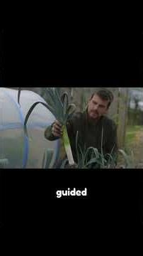 Discover What Permaculture Really Means and Its natural Inspiration!