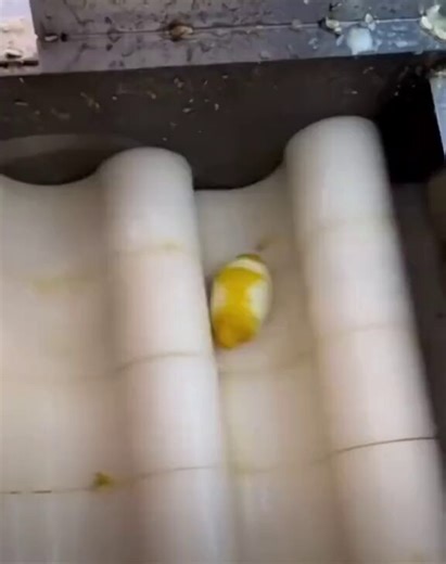 That one main character living while all their friends die😱👇