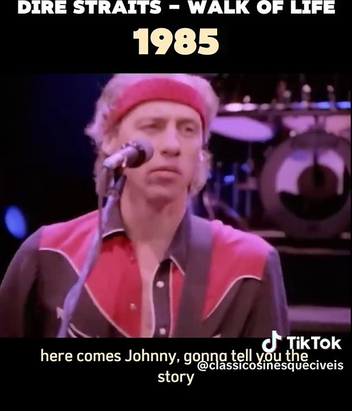 Dire Straits - Walk Of Life (1985) Live Performance