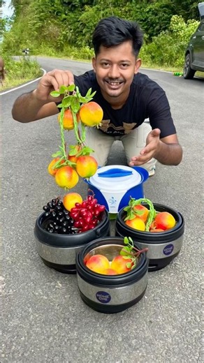Milton Fruit Box Vs Steel Casserole Lunchbox unboxing 🍇