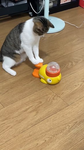 Working hard for food | Animals World , Nature & Quotes