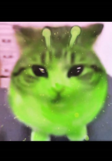 Alien Cat Compilation: Funny Moments and Adorable Clips