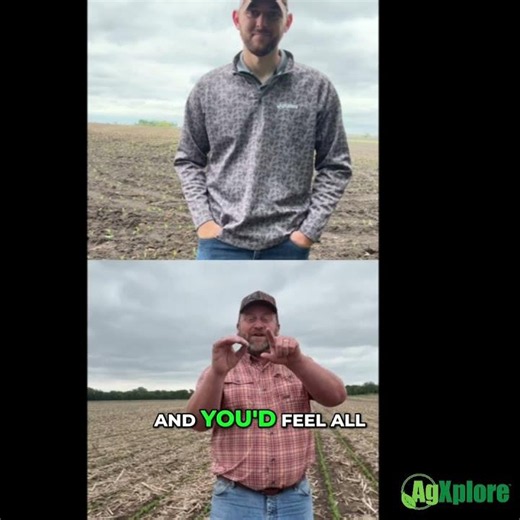 Why Molybdenum Is Becoming a Bigger Nitrogen Efficiency Conversation