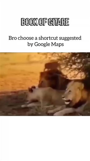 🦊 FOAD 🦊 on Instagram: "The Mystery of the “Time-Loop Voicemail” Phenomenon 📞🌀 In late 2022, a few Reddit users began posting about something chilling — mysterious voicemails that seemed to come from their own future selves. The recordings often contained garbled static, distorted versions of their own voices, and vague warnings like “Don’t leave the house tomorrow” or “Check your car door before 9.” What’s weird is that several of these calls were timestamped for future dates, only to appea