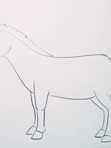 How to Draw a Donkey: Step-by-Step Guide
