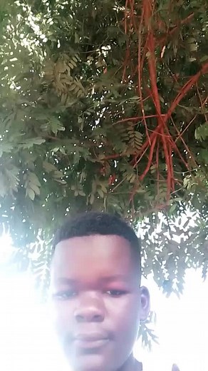 serudigo's bro (@serudigo)’s videos with original sound - Liah ote👔