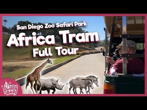 [2022] Africa Tram FULL TOUR | San Diego Zoo Safari Park