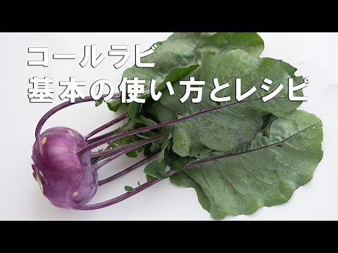 【コールラビ 基本の使い方とレシピ】野菜ソムリエプロがコールラビの正しい使い方を解説してコールラビのカルパッチョを実際に作っていきます。