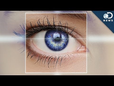 Can We Restore Sight For The Blind?