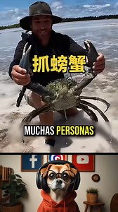 Como pescar correctamente cangrejos gigantes #cangrejos #pesca #viralreels | Datos Curiosos