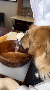 They don't call me a pawstry chef for nothin!! #dog #dogs #chef #cooking #goldenretriever #puppy #doglover #goldenretrieversofinstagram | Cooking With Badger