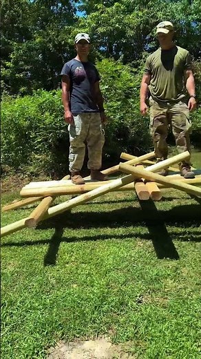 Simple DaVinci Bridge Project