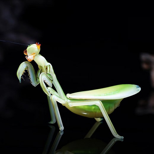 Art Glass Praying Mantis, Glass Sculpture, Hand Blown Glass, Glass Insects, Art Glass Sculpture - Etsy