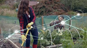 Woman boot-driving garden fork into soil sparking node overlay while partner weeding for planting
