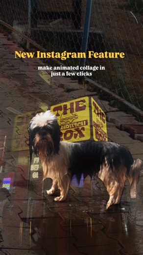 Helen | here’s how you can try it: 1️⃣Go to your profile 2️⃣Tap the “+” on the top right 3️⃣Select Story 4️⃣From the top carousel, choose Collage... | Instagram