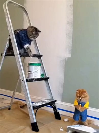 Unqualified Mechanics: Hilarious Cat Takes on Cars