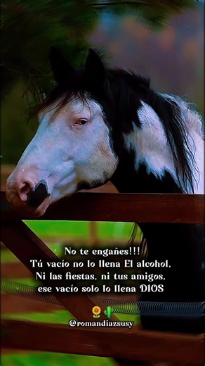 18K reactions · 615 comments | ꧁⦇퐬υ퐬ψ⦈꧂ @퐫퐨퐦퐚퐧퐝퐢퐚퐳퐬퐮퐬퐲 #퐝퐢퐨퐬 #퐚퐦퐨퐫퐲퐜퐚퐛퐚퐥퐥퐨퐬 #퐦퐞퐚퐦퐨 #퐝퐢퐨퐬퐟퐞퐚퐦퐨퐫 #퐬퐮퐞ñ퐚퐱퐯퐢퐯퐢퐫_⏳ | Susy Román | Facebook