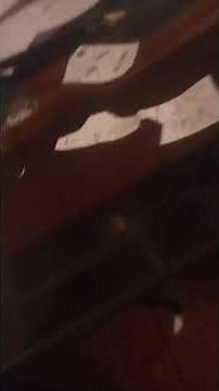 all logos gets expelled in angry p head's class