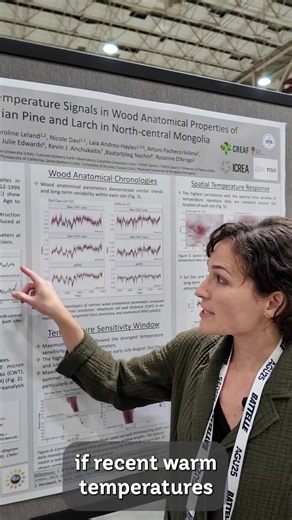 At the American Geophysical Union (AGU) #AGU25, we stopped by to talk with tree ring scientist Caroline Leland of Lamont-Doherty Earth Observatory about her research on climate reconstructions derived from tree ring data, which provide insights into recent temperature and hydroclimatic extremes, particularly in relation to long-term climate variability. Leland and team revisit data from Siberian Pine and Larch in North-central Mongolia to determine the climate sensitivity of several anatomical p