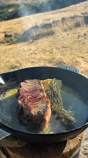 Outdoor Beef Recipe: Survivor Style Cooking