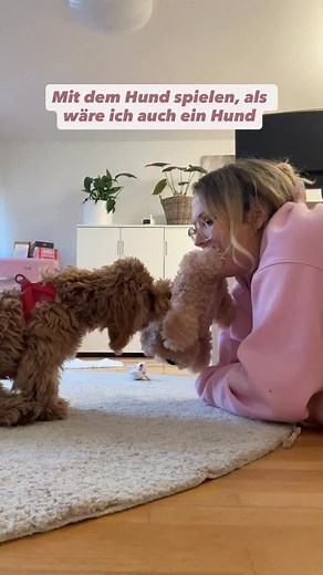 Er möchte sein Spielzeug nie hergeben, aber immer spielen. Ich habe jetzt mal das gleiche gemacht. Er war sichtlich verwirrt. 😂😂😂 #dogmom #maltipoo | Josephine Jochmann