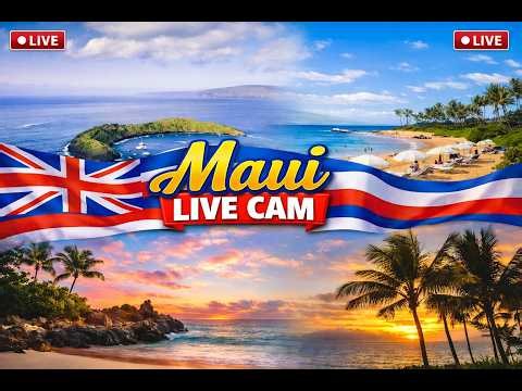 🔴 LIVE: Ultimate Maui Webcam Tour 🌺 Ka'anapali, Wailea, Whale Watch & Haleakalā | NOW!