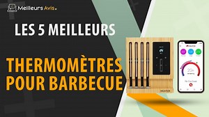 MEILLEUR THERMOMETRE POUR BARBECUE - Comparatif 2023