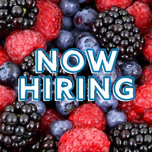 Join our incredible team! Flexible hours, weekly pay, paid time off and grocery discounts are just a few of the benefits we offer at Albertsons Market. Learn more about career opportunities at www.albertsonsmarketjobs.com. | Albertsons Market