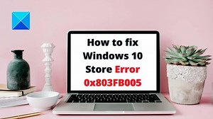 Fix Microsoft Store Error 0x803FB005 in Windows 11
