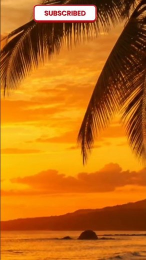 California Dreams 🌴 Cali Reggae Instrumental | Relaxing Beach Music #CaliReggae #BeachVibes #shorts